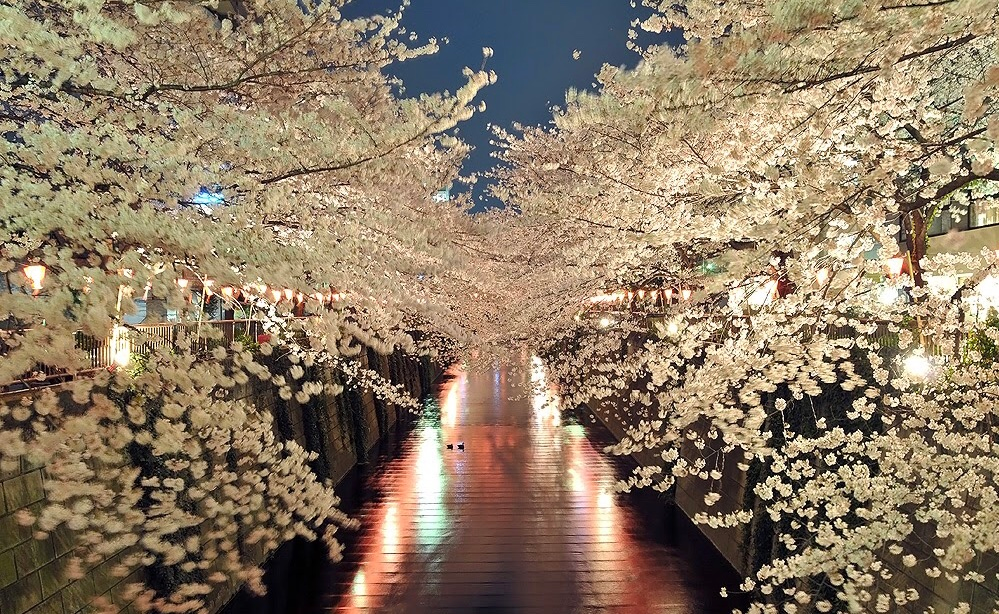 On Honeymoons and Destination Weddings